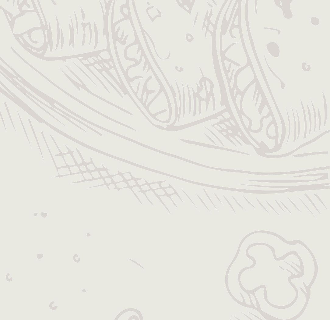 Food background Graphic