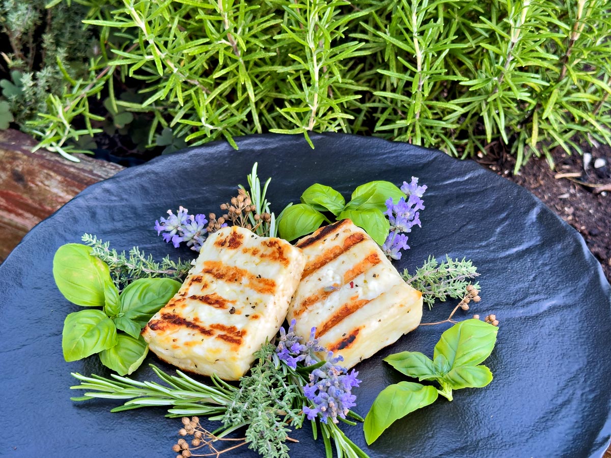 Grillgenuss mit Halloumi: So gelingt der perfekte Käse vom Grill ...